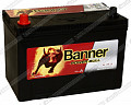 Banner Power Bull P95 05 (D31FR)